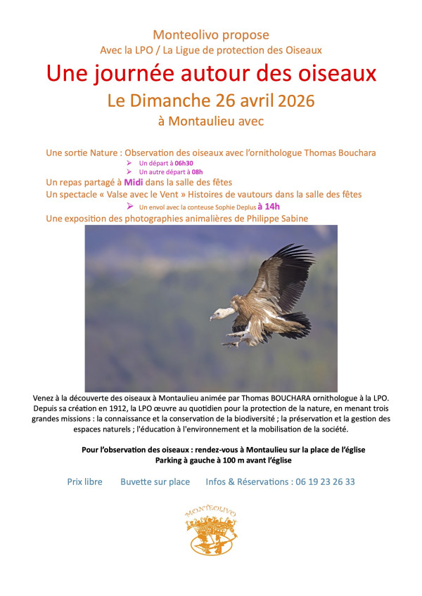 Une journée parmi les oiseaux